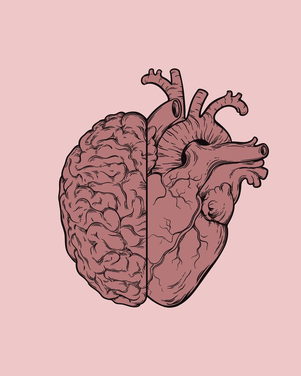 An anatomical brain and heart illustration