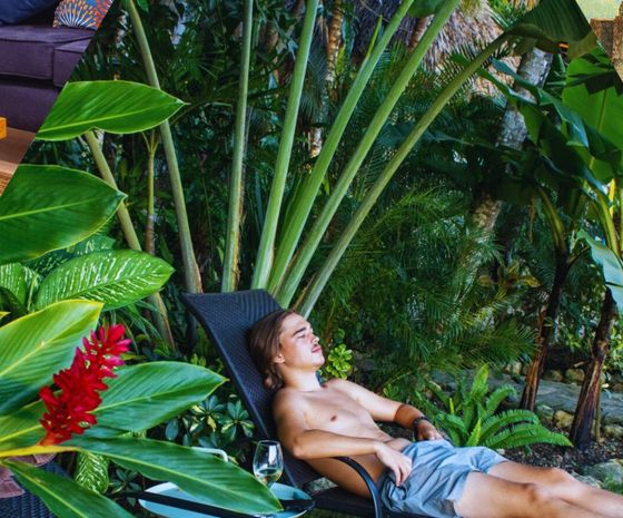 A lounger in the jungle garden